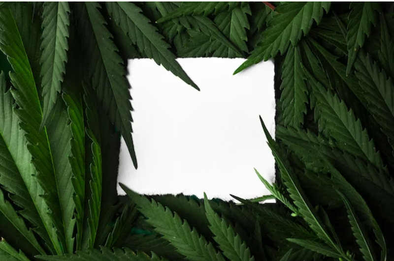 medical marijuana card virginia