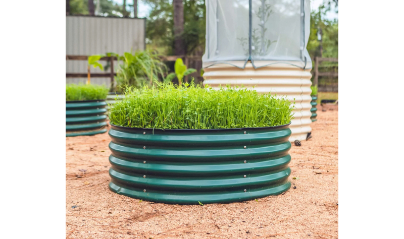 galvanized raised beds